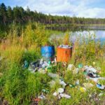 Environmental Impact of Littering: Consequences and Solutions