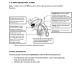 Environmental Pollution: Understanding Human Impact on Our Ecosystem