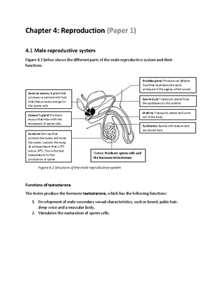 Environmental Pollution: Understanding Human Impact on Our Ecosystem