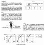 ACT Science Section: Time Management Strategies for Maximum Success