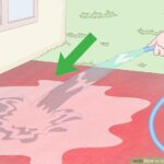 DIY Concrete Coloring: Complete Guide to Transform Your Surfaces